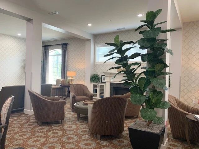 Independent Living — view 5